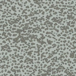 Bacteria Sottsass