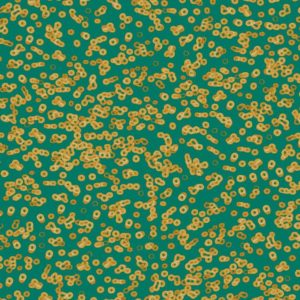 Bacteria Sottsass