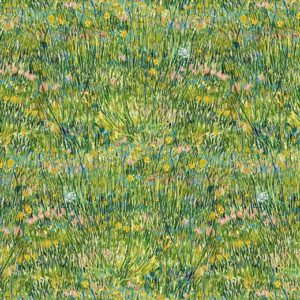 Van Gogh Vision