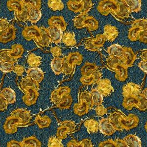 Van Gogh Vision