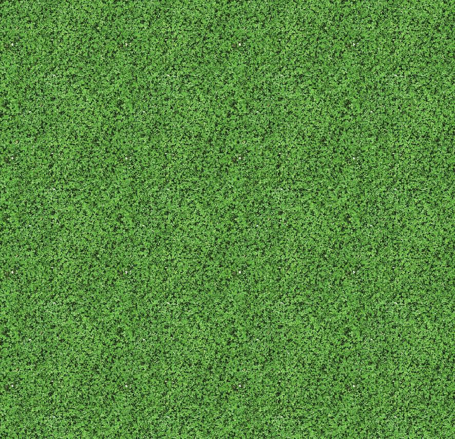 _ 000430 shamrock _ _ -1