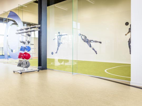 marmoleum-sport marmoleum-sport