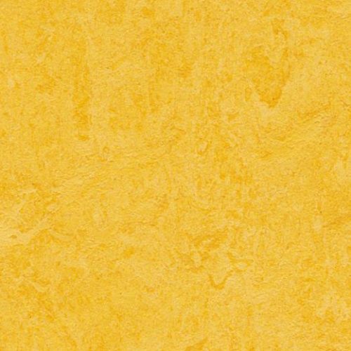 Linoleum Natural