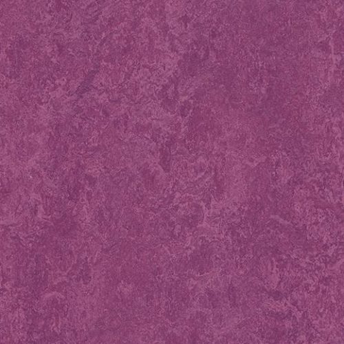 Linoleum Natural